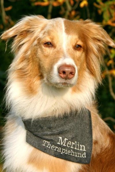 Hundehalstuch mit Namen