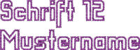 Schrift 12