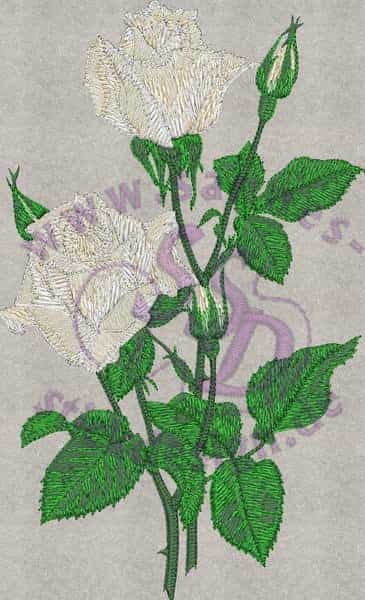 Stickmotiv: Rose weiß