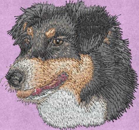 Stickmotiv: Australian Shepherd 2