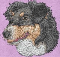 Stickmotiv: Australian Shepherd 2