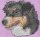 Stickmotiv: Australian Shepherd 2