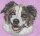 Stickmotiv: Australian Shepherd 3