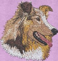 Stickmotiv: Collie 4